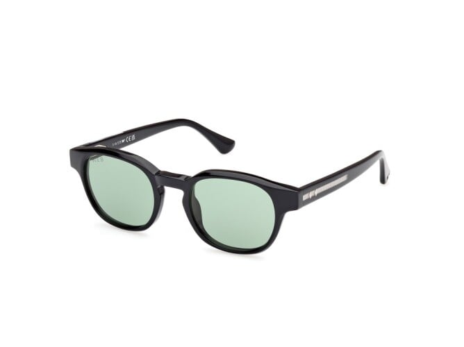 Occhiale da sole WE361