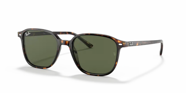 Occhiale da sole Ray Ban Mod.2193